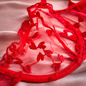 Completo Intimo Sexy Due Pezzi in Pizzo Ricamato con Logo in Vita, Senza Ferretto, Traspirante in Nylon/Cotone - Product Image 4