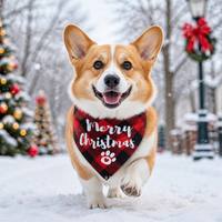Bandana triangulaire pour chiens et chats, logo personnalisé, écologique, hiver, Noël, rouge, vert, à carreaux, polyester, décoration de fête pour animaux de compagnie, cadeau