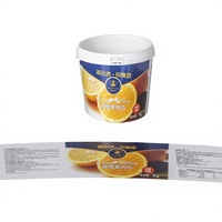Étiquettes en plastique PP durables moulées en place pour seaux de peinture, compatibles avec le moulage par injection robotisé personnalisé pour conteneurs de 18L et 20L