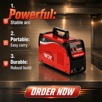 Nouvelle soudeuse portable Shenyuan TIG 200 TIG-250 IGBT DC TIG/MMA avec onduleur 220V