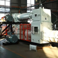 Ligne de production automatique de briques d'argile - Extrudeuse sous vide à deux étages avec moteur intégré