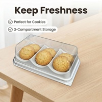 Boîte d'emballage rectangulaire en PET écologique pour cheesecake et gâteau aux haricots mungo, emballage transparent pour desserts