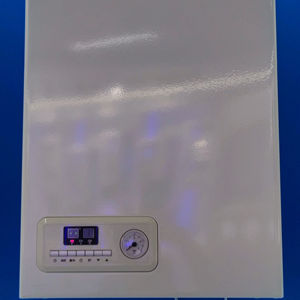 غلاية معلقة على الحائط بالغاز فعالة من حيث التكلفة مع تشطيب أنيق - Product Image 2