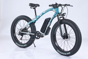 Bicicleta de Montaña Eléctrica de Fábrica 48V 350w con Neumáticos Anchos y Suspensión Completa Braver Braver - Product Image 4