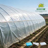 Film de serre résistant aux UV, transmission lumineuse, isolation thermique, couverture en plastique agricole pour la culture de légumes