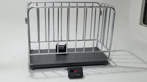 동물 가축용 디지털 바닥 저울, 돼지 무게 측정 가능, 1톤 500KG, 가축 패널 사용 가능 - Product Image 5