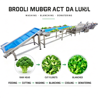 Complete oplossing voor de verwerking van diepvriesbroccoli/fruit en -groenten: motorisch aangedreven automatische was-, snij-, blancherings- en vrieslijn