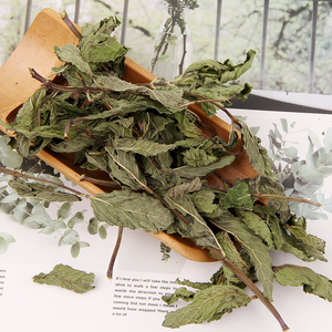 Natural Original 100%pure <strong>Spearmint</strong> Bulk Herb Spice Dried Herbs For Flavor <strong>Tea</strong> - Product Image 6
