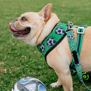 Pettorina per <span class=keywords><strong>Cani</strong></span> Senza Trazione con Motivo Pallone da Calcio e Campo da Calcio, Design con Clip Frontale per un Addestramento Sicuro e Umano - Product Image 4