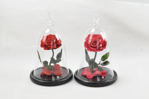 कांच के गुंबद में संरक्षित होमोरा गर्म बिक्री के लिए एक ग्रेड वास्तविक स्पर्श गुलाब वेलेंटाइन के दिन लड़की दोस्त के लिए कभी नहीं गुलाब - Product Image 4