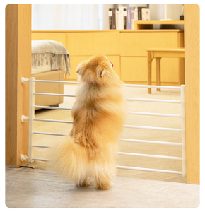 Barrière d'isolement pour animaux de compagnie de haute qualité, clôture pour chiens et chats, barrière de sécurité pour l'intérieur, cage pour chien - Product Image 6