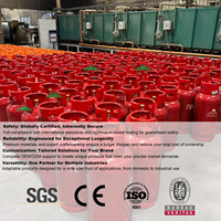 Muestra Gratuita de Cilindro de Gas para Cocinar de 12.5 kg, Cilindro de GLP con Válvula para Cocina/Camping/Uso Doméstico