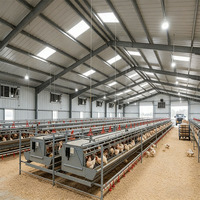 Edificio Prefabricado de Metal para Granjas Avícolas, Estructura de Acero para Cría de Pollos de Engorde y Gallinas Ponedoras, Instalación para Cría de Ganado, OEM ODM EN1090 CE