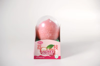 Hotverkopende Halal gecertificeerde lychee fruitijsjes 3D fruitvormige snack met doosverpakking rechtstreeks uit China