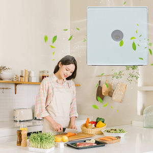 <span class=keywords><strong>Extractor</strong></span> industrial montado en la pared con certificación CE, ventilador decorativo <span class=keywords><strong>para</strong></span> <span class=keywords><strong>ducha</strong></span> <span class=keywords><strong>de</strong></span> humo, ventilador OEM/ODM - Product Image 5