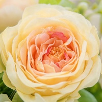 Petites décorations de mariage en fleurs de pivoine en soie à 5 têtes - Arrangements de table faits main style flocon de neige - Toucher réaliste et longue durée