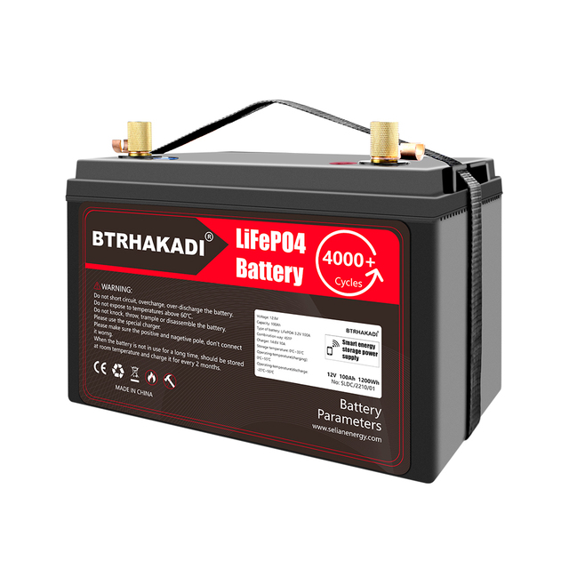 Lifepo4 Battery 12V 100Ah Rechargeable Build in Smart BMS Monitor by Mobile App for Solar System Boat RV Support Customized