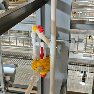 Equipo de Cría de Aves de Corral Portátil de Grado Comercial, <span class=keywords><strong>Jaula</strong></span> de Almacenamiento para Gallinas Ponedoras, <span class=keywords><strong>Jaula</strong></span> Automática para Pollos para Granjas Ganaderas - Product Image 3