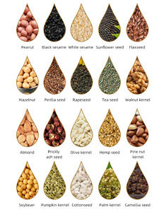 Macchina Idraulica per Estrazione a Freddo di Olio di Oliva, Avocado, Sesamo e Burro di Cacao per Piccole Imprese - Product Image 5