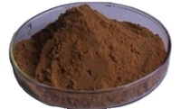 Poudre d'extrait de Phyllanthus Niruri 10:1 20:1, poudre d'herbes soluble dans l'eau pour complément alimentaire