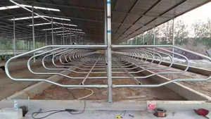 Establo para Ganado, Uso en Granjas, Establos Individuales para Vacas, Cubículos para Ganado - Product Image 4