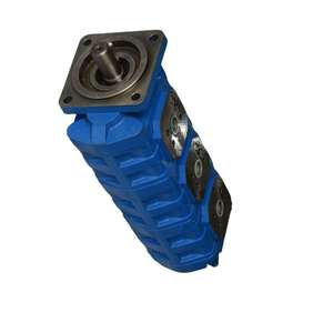 Pompe hydraulique à double engrenage Huamao, très vendue, de bonne qualité - Origine Shandong, garantie 1 an, machines testées et inspection vidéo - Product Image 5