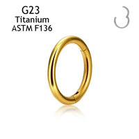 Bijoux de corps pour femmes, anneaux de nez en titane G23 tendance, anneaux segmentés articulés, boucles d'oreilles pour le tragus, le cartilage, l'hélix