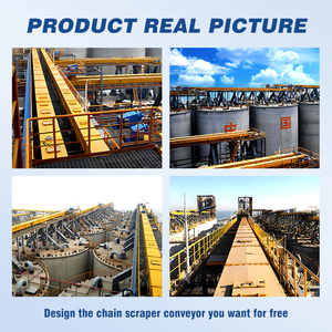 Özelleştirilmiş TGSS16 serisi gömülü kazıyıcı konveyör <span class=keywords><strong>Woodchip</strong></span> zincirli konveyör üretim tesisi için satılık - Product Image 5