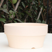 Pot de cactus et succulentes avec soucoupe pour présentoirs de fleurs de jardin Pots de fleurs et jardinières de qualité supérieure
