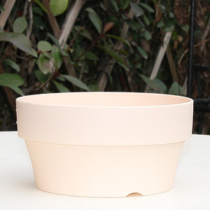 กระถางและต้นกระบองเพชรพร้อมจานรองสำหรับสวนดอกไม้ - Product Image 4
