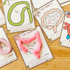 แผ่นดินน้ำมันปั้นรูปอวัยวะมนุษย์ ชุดของเล่น DIY นุ่มพิเศษ ปลอดสารพิษ ปี 2026 สำหรับเด็กหญิงและเด็กชาย - Product Image 5