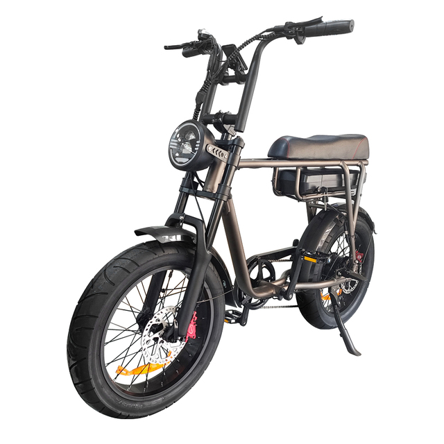 EU Stock Tourwheel V20 Retro Fat Tire All Terrain E-bike Beach Cruise Electric Bike,Hydraulic Brake 48V 250W/750W 17.5Ah Ebike
