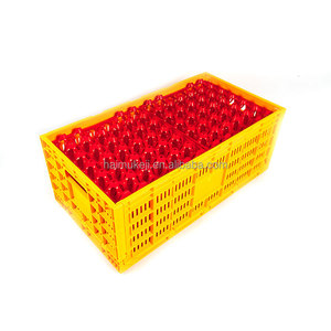 Equipo para Granjas Avícolas, Jaula <span class=keywords><strong>de</strong></span> Transporte para Huevos <span class=keywords><strong>de</strong></span> Gallina y Codorniz - 64x34x25cm - Product Image 4