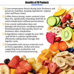 工業用自動真空凍結乾燥機、果物・野菜・肉・魚介類・高麗人参用食品凍結乾燥機 - Product Image 4