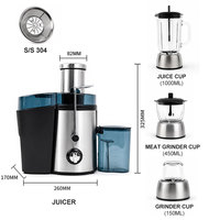 Professionele koudgeperste 600W fruitmachine, elektrische 4-in-1 blender, sapcentrifuge, draagbare sinaasappel-citroen slowjuicer