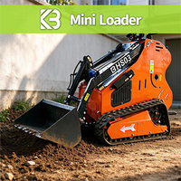 Mini-chargeuse OEM CE avec moteur Briggs & Stratton, 722 kg, godet de 0,15 m³ pour la rénovation de villas