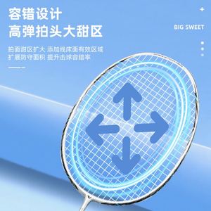 <b>Badminton</b> Racket Set Professional Training Durable Leisure Sports Racquet - Product Image 4