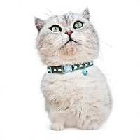 Collier pour chaton en polyester tressé avec clochette, anti-étranglement, réglable, confortable, fermoir sécurisé, style Instagram