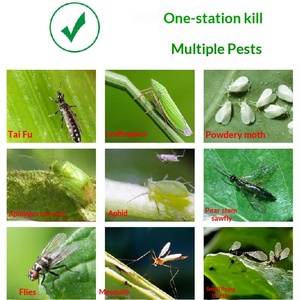 Piège collant de haute qualité pour moucherons, très vendu, pour usage intérieur/extérieur, forme rectangulaire - Product Image 5