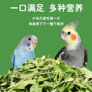 Alimento para Pájaros con Hojas de Moringa, Lata de 400 ml para Loros, Bocadillos Ecológicos - Product Image 2