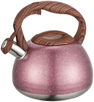 Bouilloire sifflante en acier inoxydable de 2,7 litres avec fond simple pour cuisinière, écologique, compatible lave-vaisselle, usage domestique, capacité 3L