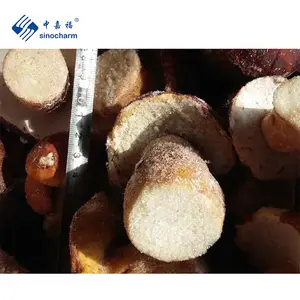Sinocharm Brc a冷冻野生蘑菇批发价IQF牛肝菌