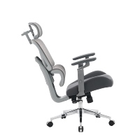 Chaise de bureau ergonomique au design moderne avec dossier en maille, soutien lombaire et fonctions réglables