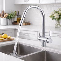 Robinet de cuisine moderne en acier inoxydable SUS304, eau potable directe chaude et froide, 3 voies, double poignée, robinet 3 en 1 pour évier