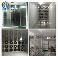 En vente QDMECH 2025 Machine de séchage à pompe à chaleur à haute efficacité déshydrateur de fruits polyvalent pour salles de séchage banane/ananas