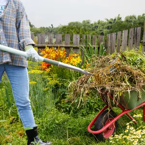 Tùy chỉnh nông nghiệp công cụ làm vườn vườn tay Đào Công cụ ngã ba