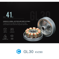 Moteur de cardan sans balais GL30, petite taille, arbre creux de 6 mm, IP45, pour stabilisateur de caméra