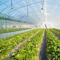 Tunnel Greenhouse Film Agriculture 200 Micron Uv Resistant Plastic Covering