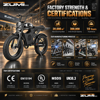 Vélo électrique ZUMI OEM ODM 1000W à pneus larges, 48V 15Ah, écran LCD, vente en gros, fournisseur de vélos électriques pour la plage