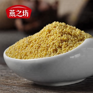 Millet jaune chinois de qualité supérieure <span class=keywords><strong>petit</strong></span> <span class=keywords><strong>grain</strong></span> de millet avec prix direct d'usine - Product Image 2